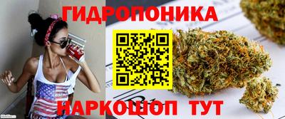бошки Кимры