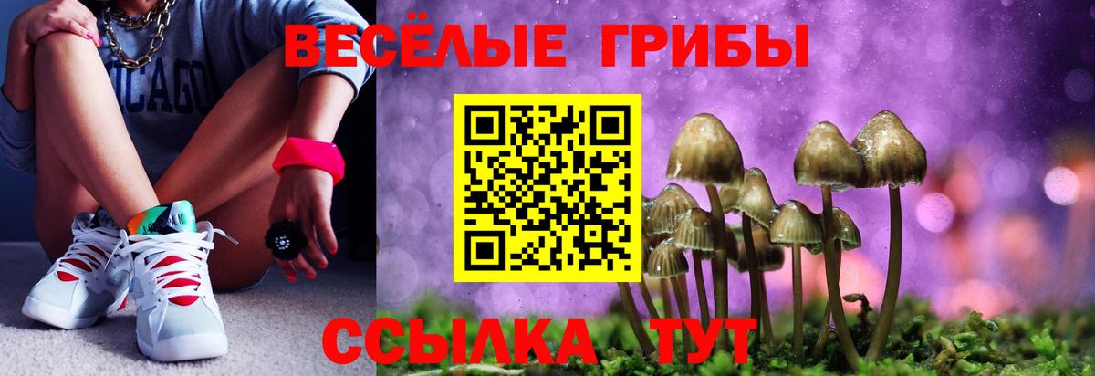 купить  цена  Галлюциногенные грибы мухоморы  Вход с VPN  Улан-Удэ 